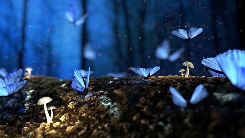 Enchanted Quests